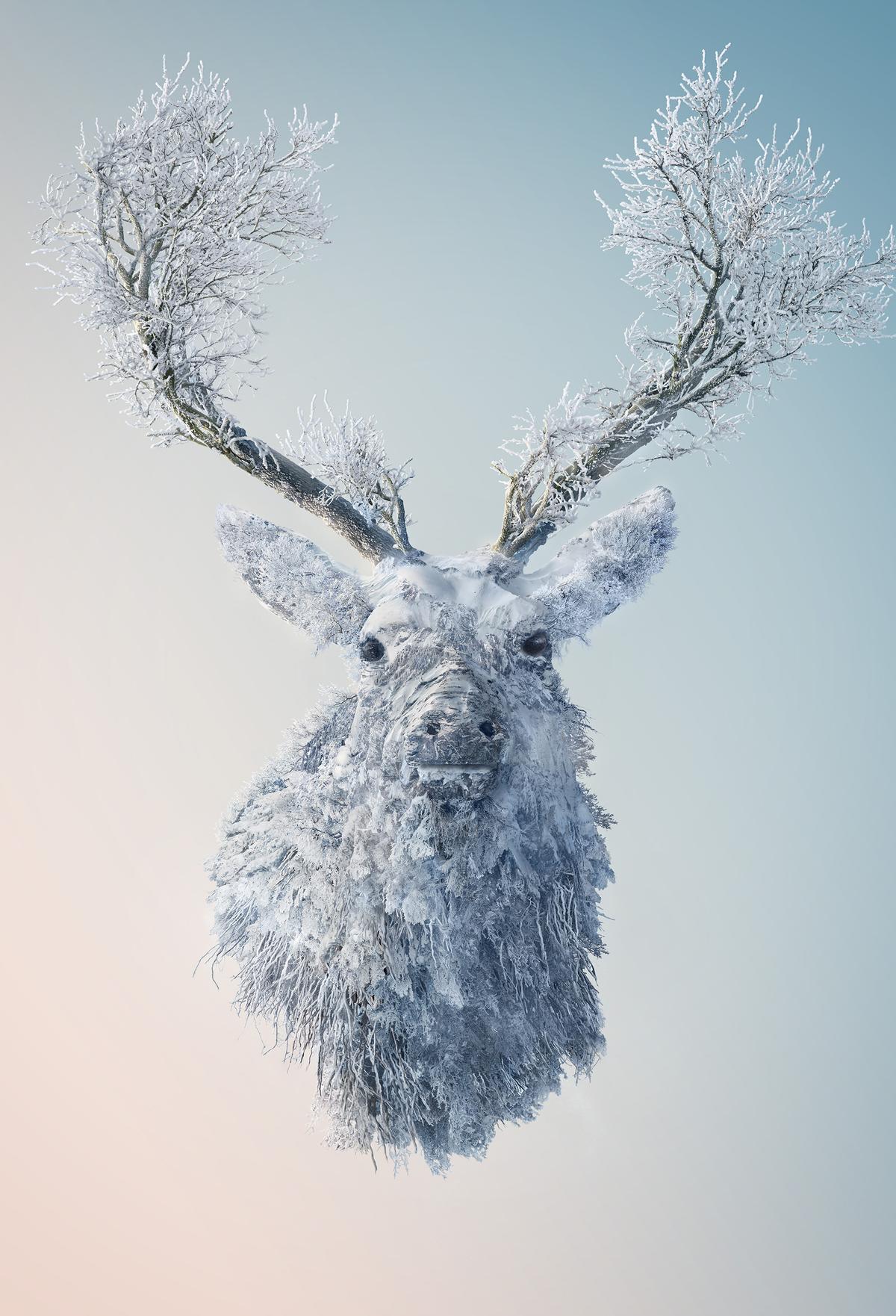 Winter landscape photos are transformed into a stag shot taken in Scotland. (Courtesy of <a href="https://www.instagram.com/joshdykgraaf/">Josh Dykgraaf</a>)