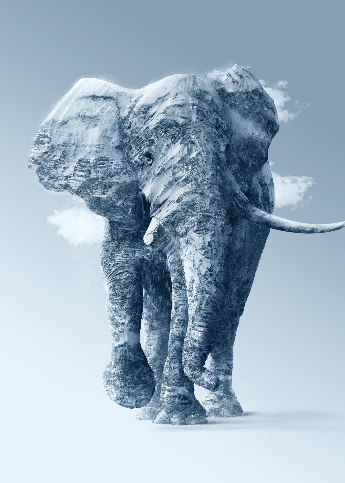 "Ourea" combines photos of the Alps to create a hybrid composite image of an African elephant. (Courtesy of <a href="https://www.instagram.com/joshdykgraaf/">Josh Dykgraaf</a>)
