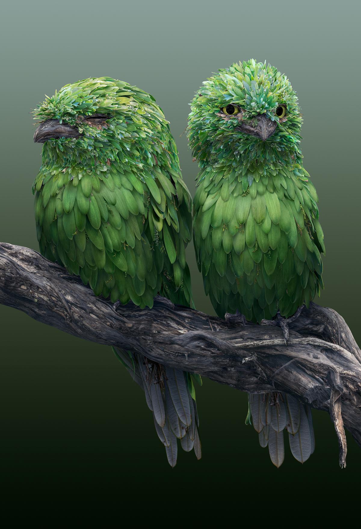 Hundreds of tiny leaves are combined to create two tawny frogmouth birds. (Courtesy of <a href="https://www.instagram.com/joshdykgraaf/">Josh Dykgraaf</a>)