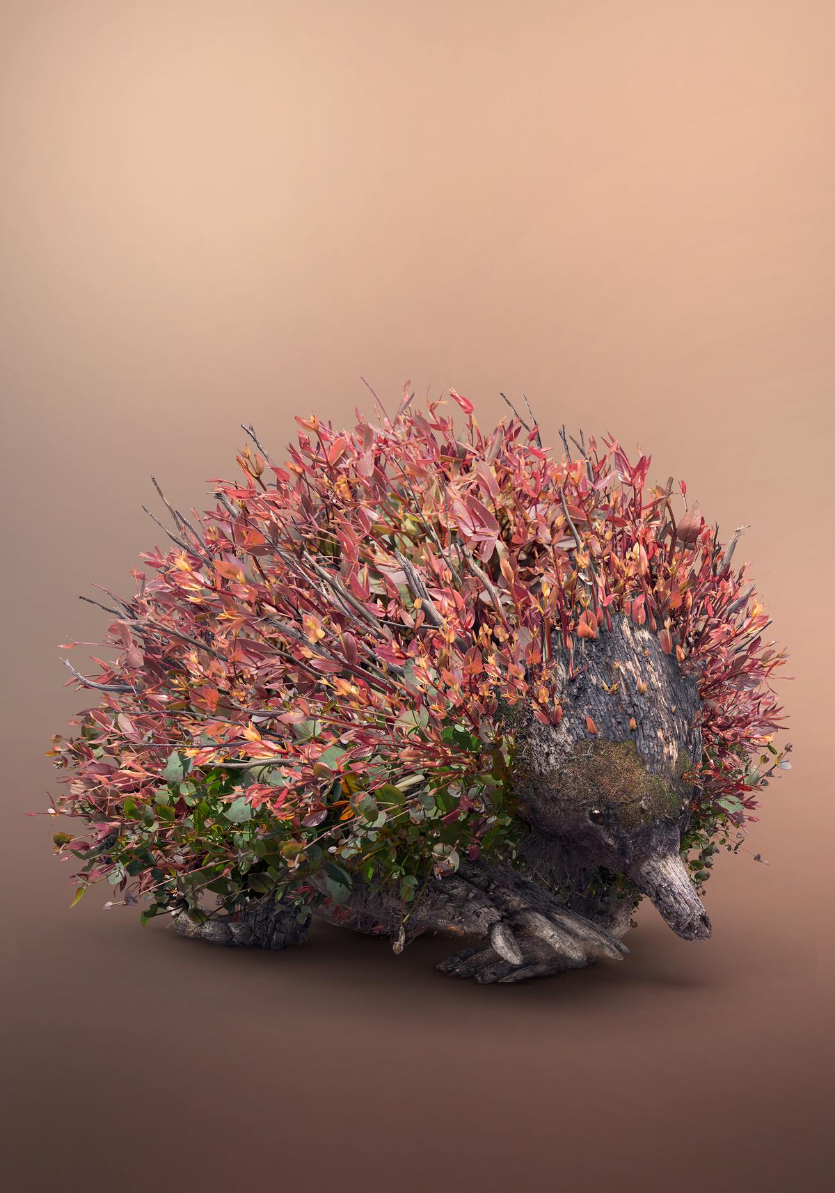 An echidna is created by using photos of gum tree shoots in Dykgaard's "Bushfire" series. (Courtesy of <a href="https://www.instagram.com/joshdykgraaf/">Josh Dykgraaf</a>)