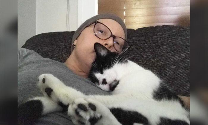 Woman Says Her Rescue Cat Helped Save Her Life After Detecting Breast Cancer