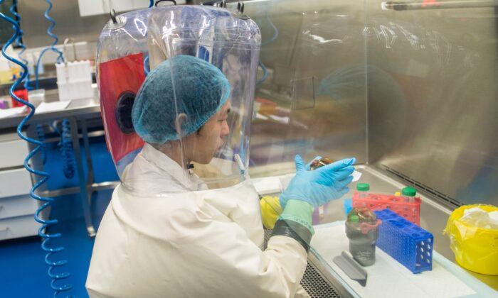 Top US Scientist Tried to Help Wuhan Lab Counter Virus Leak Concerns