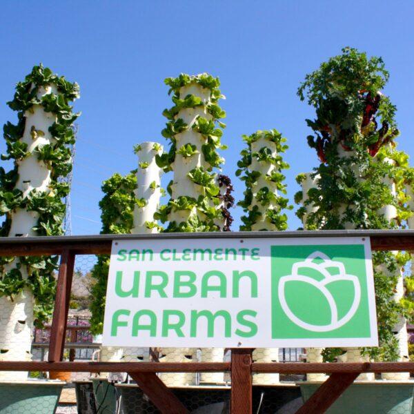 San Clemente California Urban Vertical Farm. (Jeff Perkin)