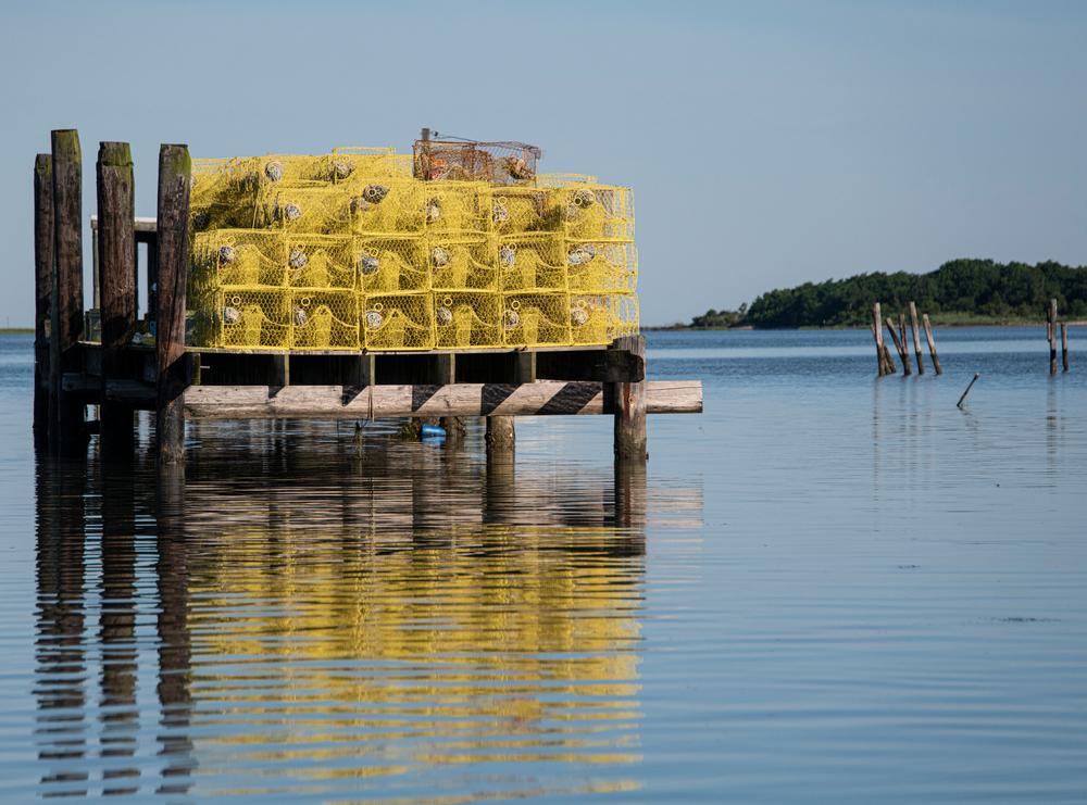 Crab traps on the Chesapeake Bay. (Leslie Billman/Shutterstock)