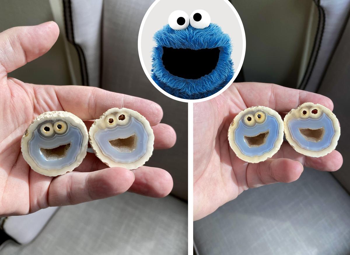 A volcanic rock, whose quartz is the doppelganger for the Sesame Street character the Cookie Monster, could be worth $10,000 after it was found by gemologist Lucas Fassari. (Kennedy News and Media)