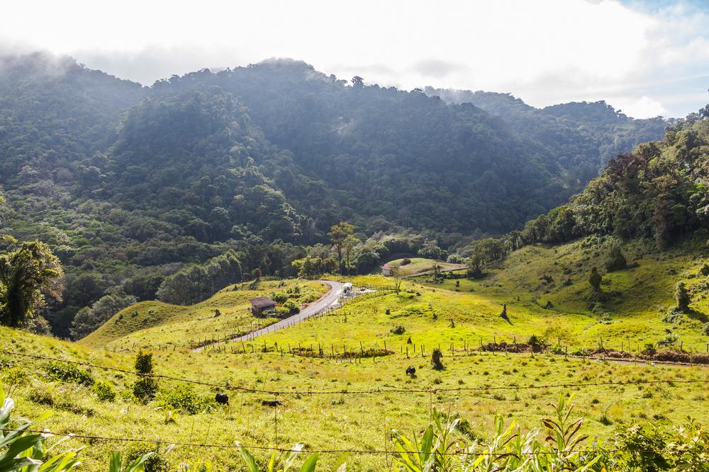 The Panama Boquete landscape, on the Quetzal Trail. (Robin Runck/ Shutterstock)