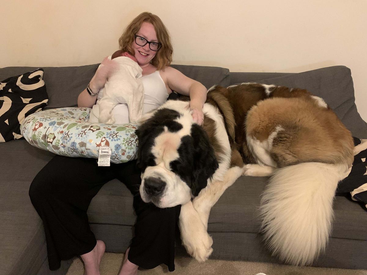 Mom Katie Bridge on her second day home from the hospital in November with newborn daughter Zoe Bridge, now 4 months, and "gentle giant" Hercules, now 2 (Kennedy News and Media)