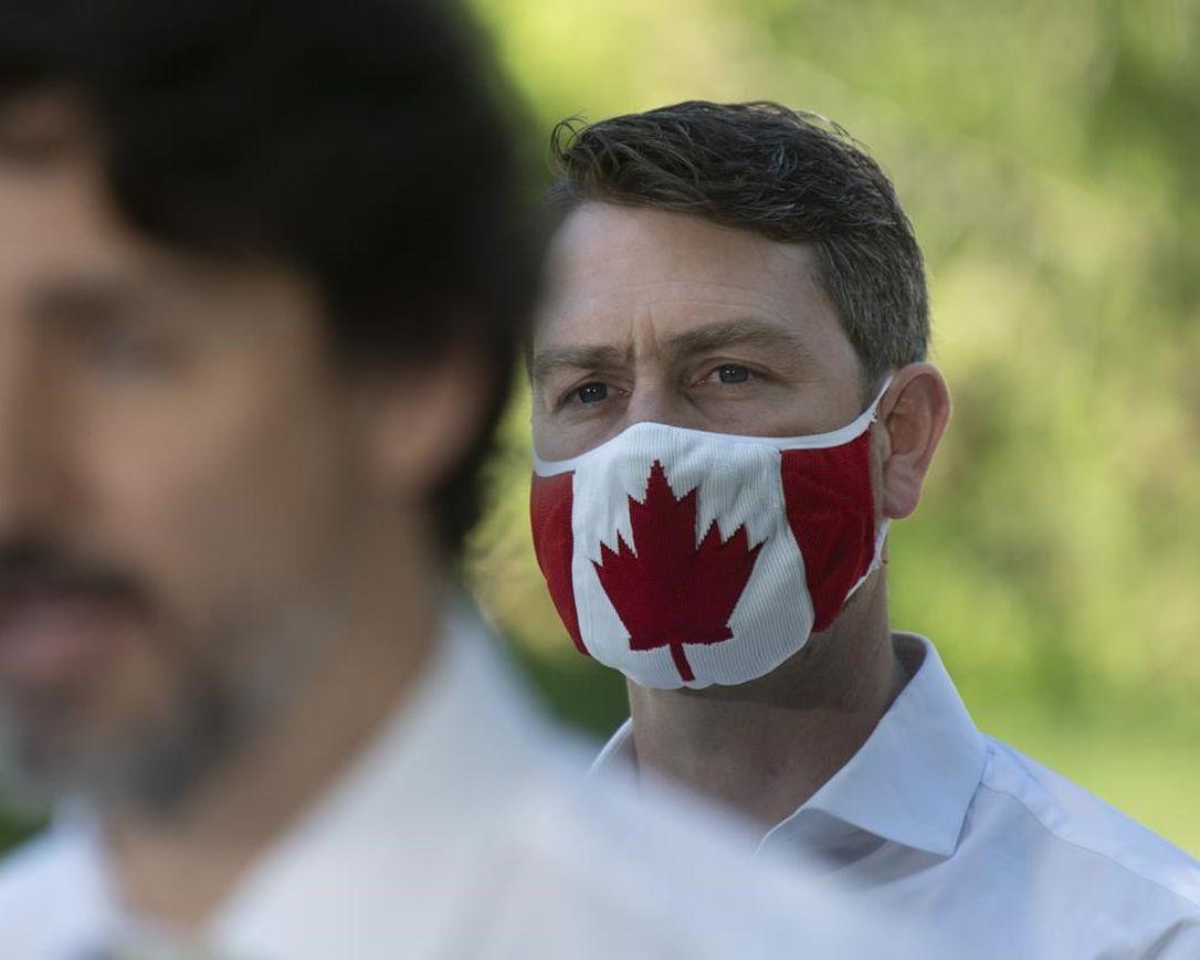 Liberal MP Caught Stark Naked During House of Commons Video Conference