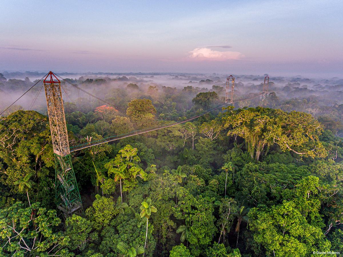 A steel catwalk 150 feet in the air stretches out across the treetops near Sacha Lodge in the rainforest of Ecuador. (Courtesy of Sacha Lodge)