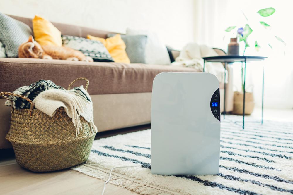Clean your dehumidifier once every two weeks. (Mariia Boiko/Shutterstock)