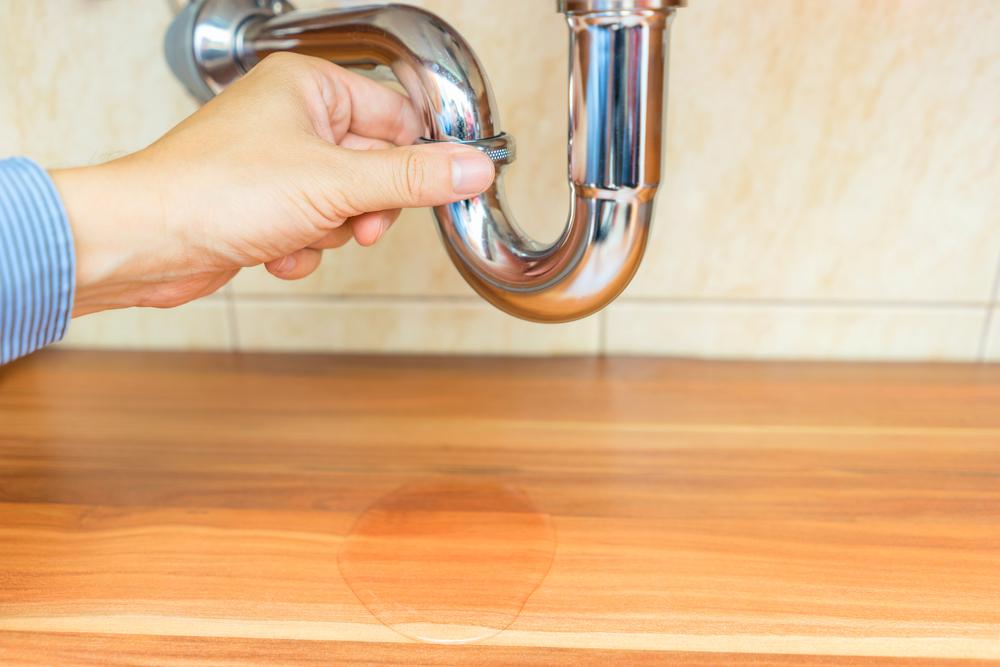 Dry up collected moisture and seal any cracks, leaks, or drips. (Bacho/Shutterstock)