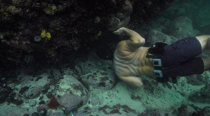 Filmmaker Craig Foster finding his octopus friend in a new cave in "My Octopus Teacher." (Netflix)