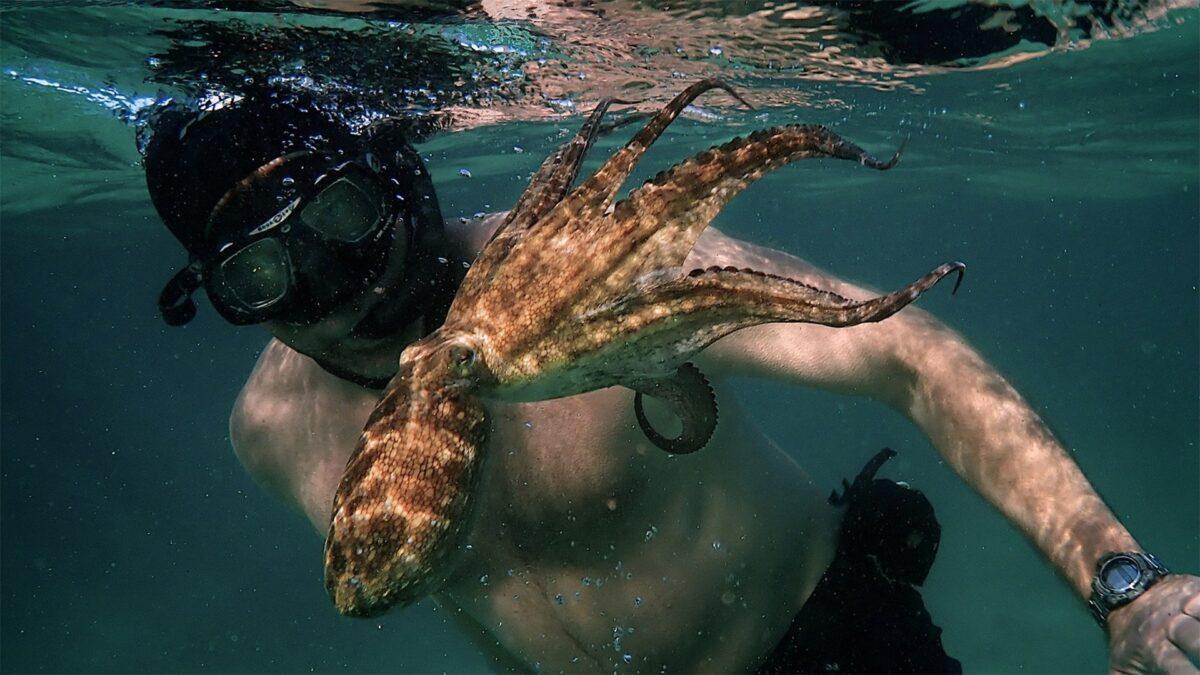 Filmmaker Craig Foster in "My Octopus Teacher." (Netflix)