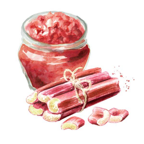 Rhubarb, sugar, and a splash of lemon juice cook down into a vibrant jam. (Daria Ustiugova/shutterstock)