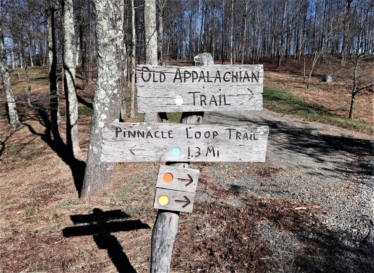 Forest trails at Primland invite visitors to take a hike. (Courtesy of Victor Block)
