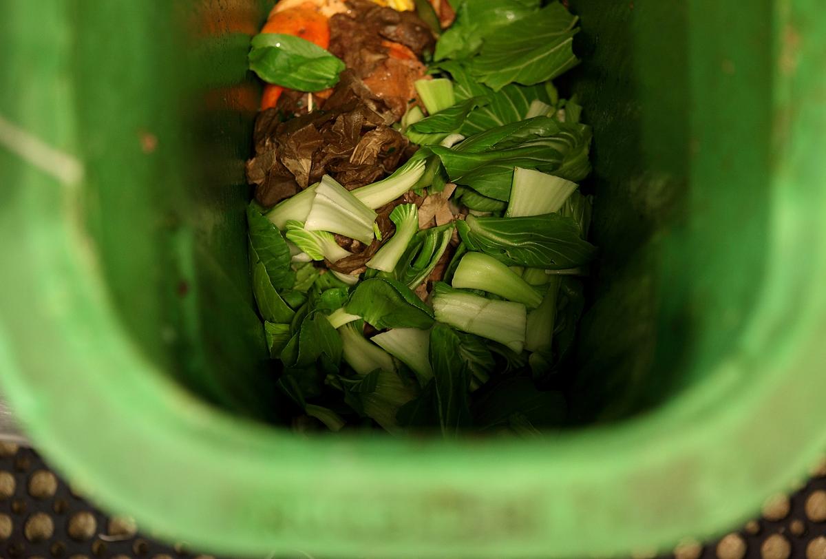 Council Explores Producing Energy From Household Food Waste