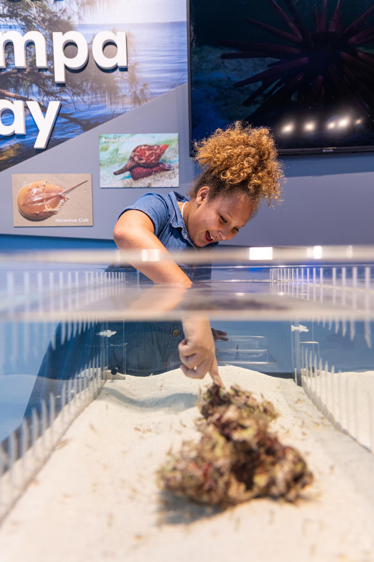 The touch tank at Tampa Bay Watch Discovery Center. (Courtesy of Visit St. Pete)