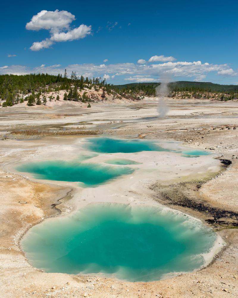 Colloidal pools at the Norris Geyser Basin. (Nagel Photography/Shutterstock)