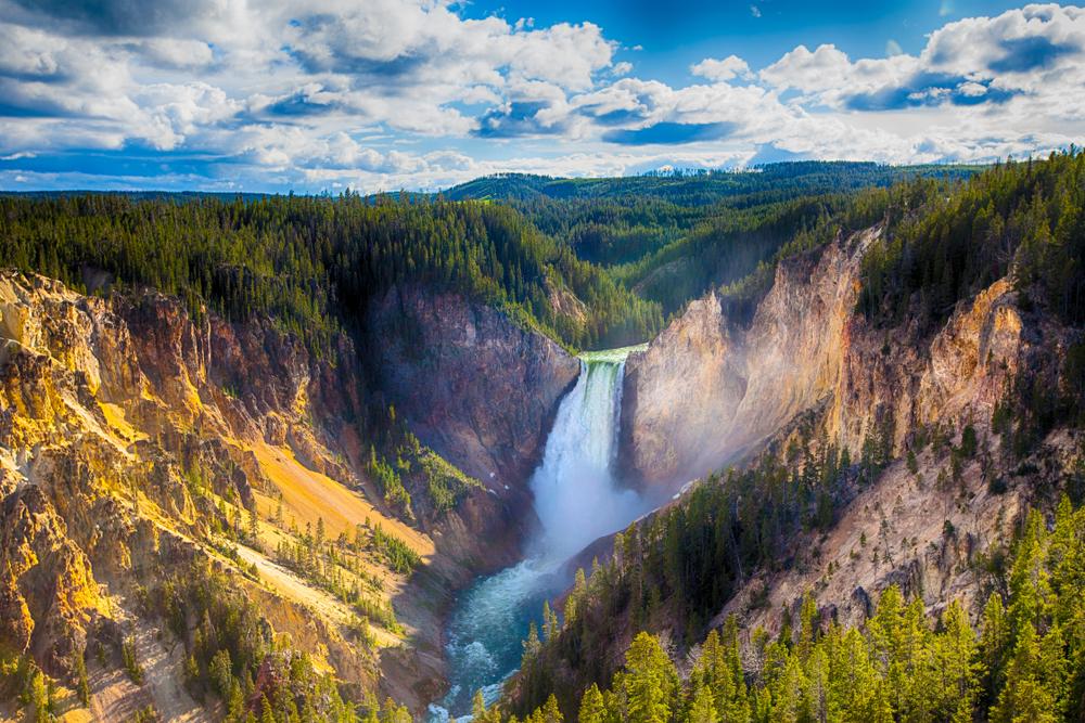 Yellowstone's Lower Falls. (Max Studio/Shutterstock)