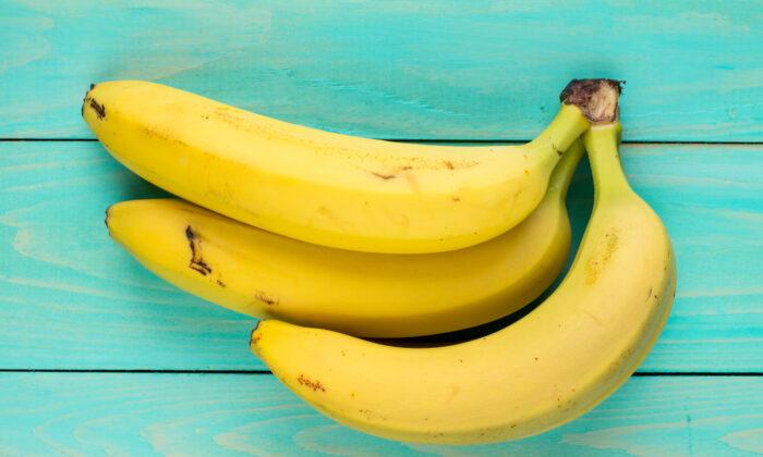 World’s 1st Genetically Modified Banana Sent for Approval