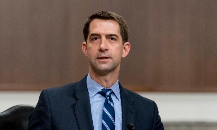 Cotton Quotes Pro Wrestler, Reveals Who He'll Support for GOP Senate Leader