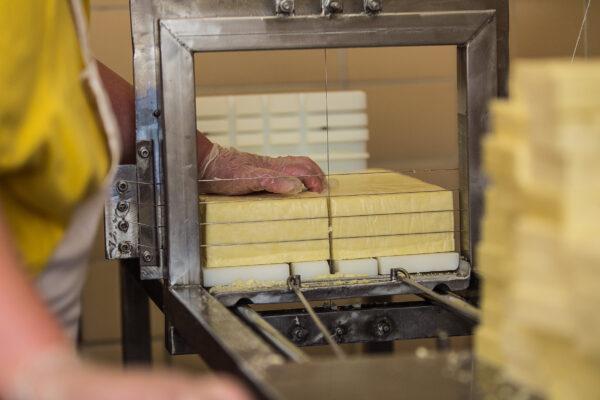 Bread cheese in the making at Carr Valley Cheese in La Valle, Wis. (Courtesy of Carr Valley Cheese)