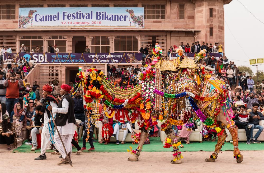 Dressed to impress: a camel at the Bikaner Camel Festival in January 2019. (AbhishekMittal/Shutterstock)