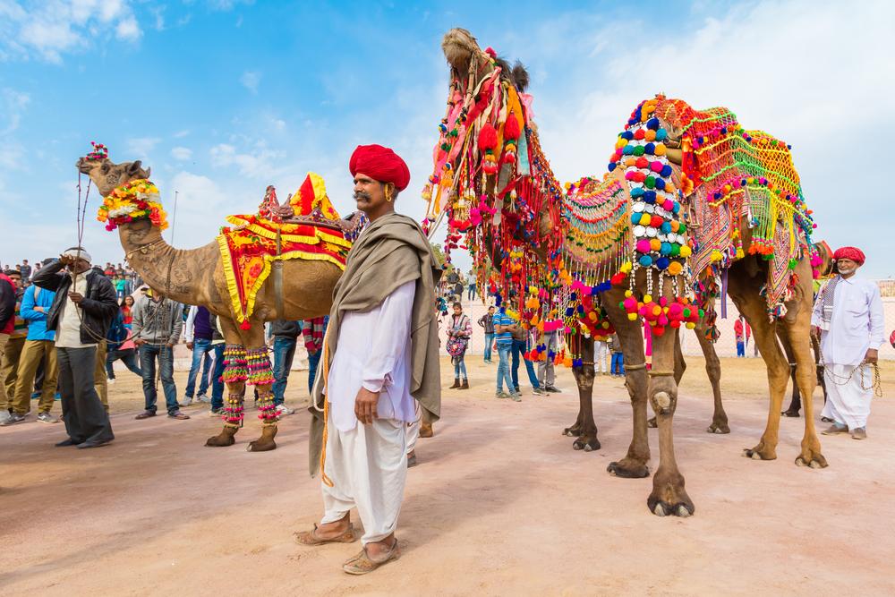A Rajasthani man with his camel at the Bikaner Camel Festival in Rajasthan, India. (Nila Newsom/Shutterstock)