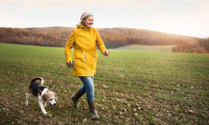 Walking Workouts Are Great for Heart, Bone, and Muscle Health