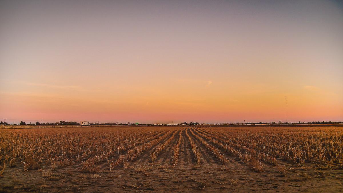 When Silicon Valley Values Meet West Texas