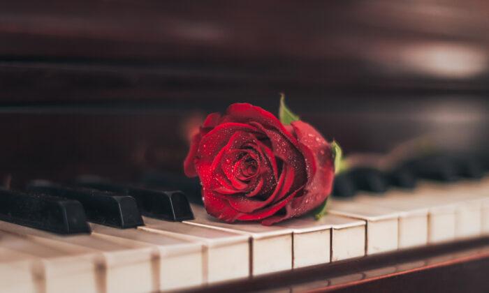The Scent and the Sound of Roses