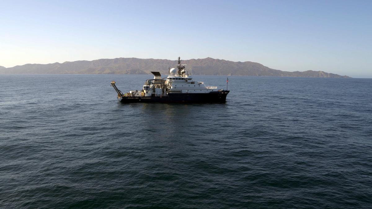 DDT Chemicals Making Their Way Into Deep-Sea Food Web, Alarming Researchers