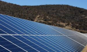 Google Strikes Solar Farm Deal to Accelerate Net Zero Transition in Australia