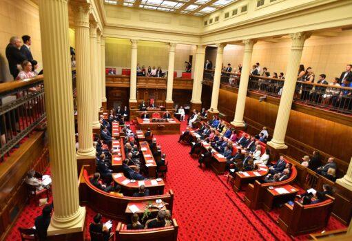 A general view of the South Australian Legislative Council during the opening of the South Australian Parliament in Adelaide, Australia on February 5, 2020. (AAP Image/David Mariuz)