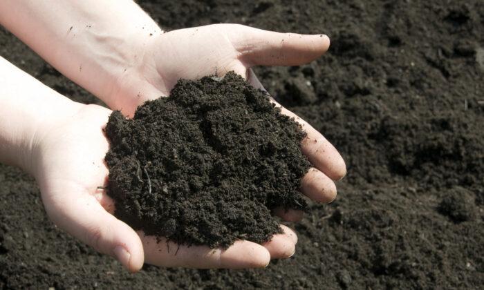 Growing Gardeners: Get to Know Your Soil