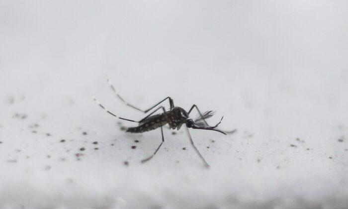 Los Angeles County Reports Year’s First Death Due to West Nile Virus