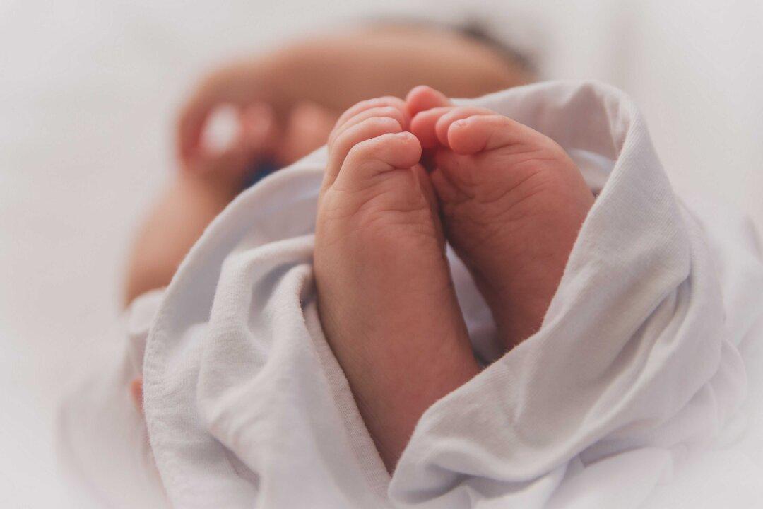 One Way to Fix Plummeting Birth Rates: Stop Bashing America