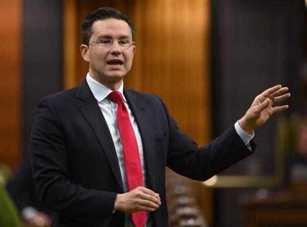 Conservative MP Pierre Poilievre rises during Question Period in the House of Commons in Ottawa on May 31, 2019. (Adrian Wyld/The Canadian Press)