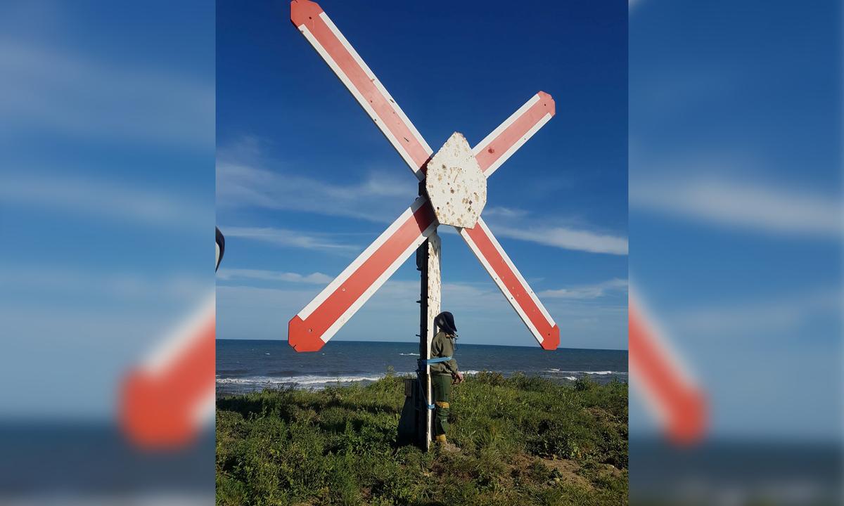 French Pilot Says He Was Tied to Firing Target in Hazing Ritual