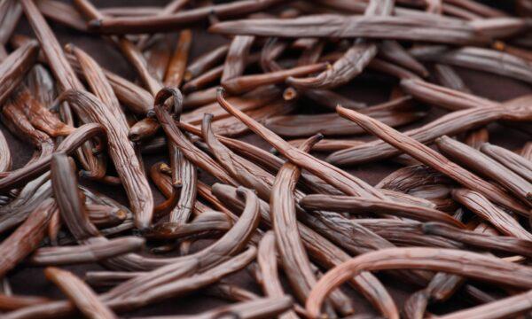 A big takeaway for Zachman was exactly how long and laborious a process it is to produce vanilla. (IamTK/shutterstock)