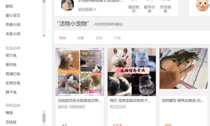 Courier Companies in China Deliver Live Animals in Sealed Boxes