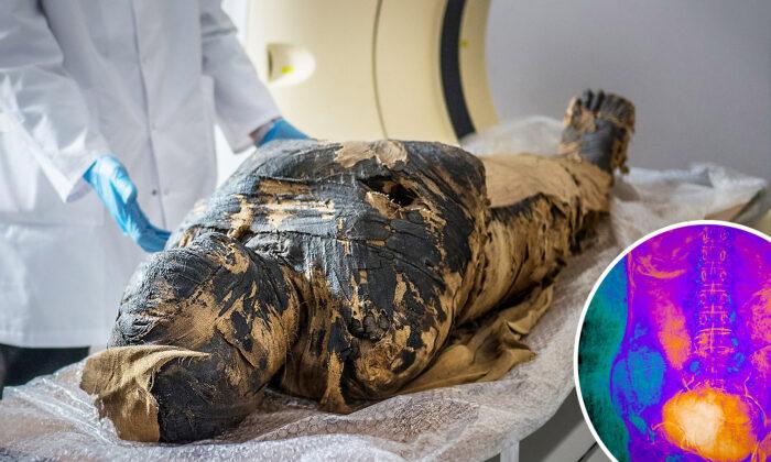 Scientists Discover That Egyptian Mummy Thought to Be Male Priest Was Actually Pregnant Woman in Her 20s