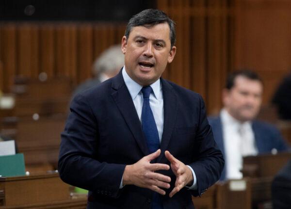 Conservative MP Michael Chong rises during Question Period in the House of Commons in Ottawa on Nov. 19, 2020. (Adrian Wyld/The Canadian Press)