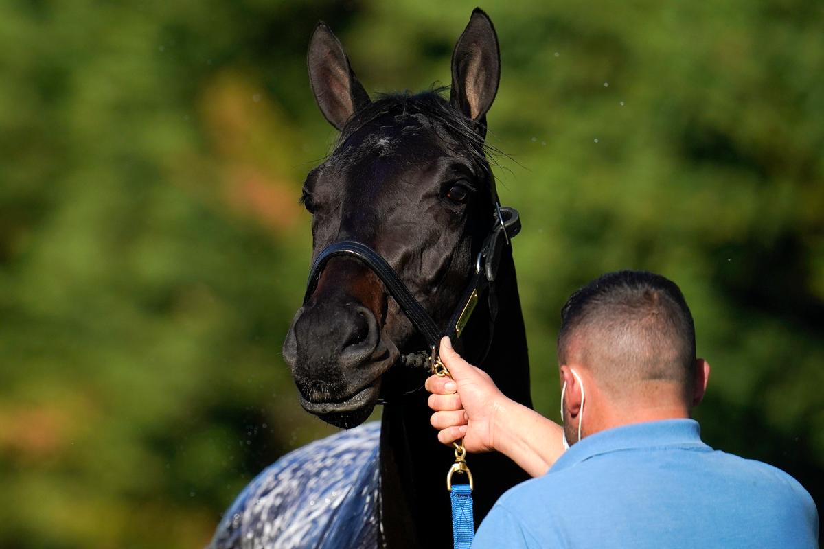 Preakness Stakes Allows Medina Spirit to Compete With Extra Testing