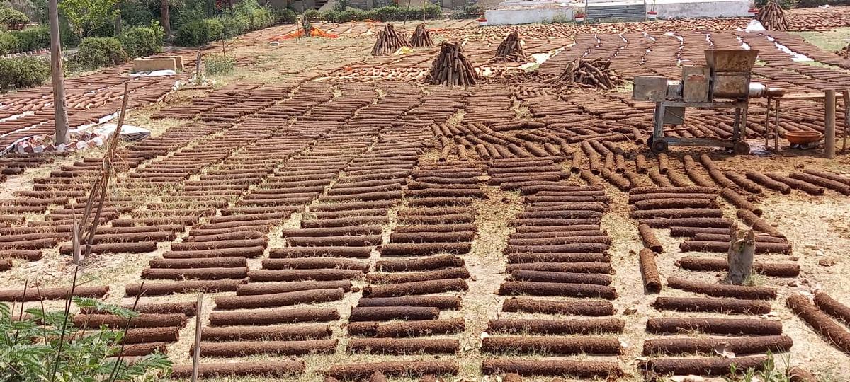 Cow dung logs sun-drying at the Shri Krishna Gaushala (shelter for cows) in New Delhi on April 25, 2021. (Courtesy of Project Arth)