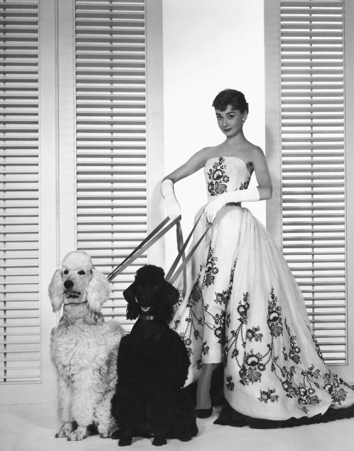 Audrey Hepburn in the stunning strapless gown she wore in “Sabrina.” (Public Domain)