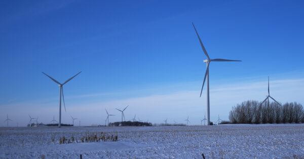 A wind farm, used to generate wind power, stands along the roadside in Sanborn, Iowa, on Jan. 16, 2020. (Spencer Platt/Getty Images)