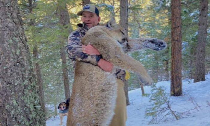 Jan. 6 Suspect Placed Under House Arrest After Allegedly Killing Mountain Lion: Officials