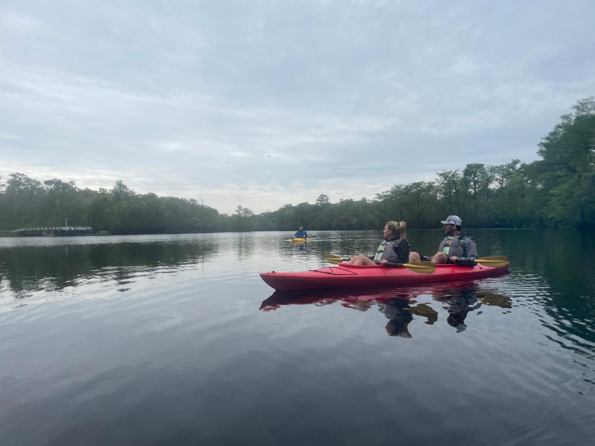 A kayaking tour on the Waccamaw River. (Janna Graber)
