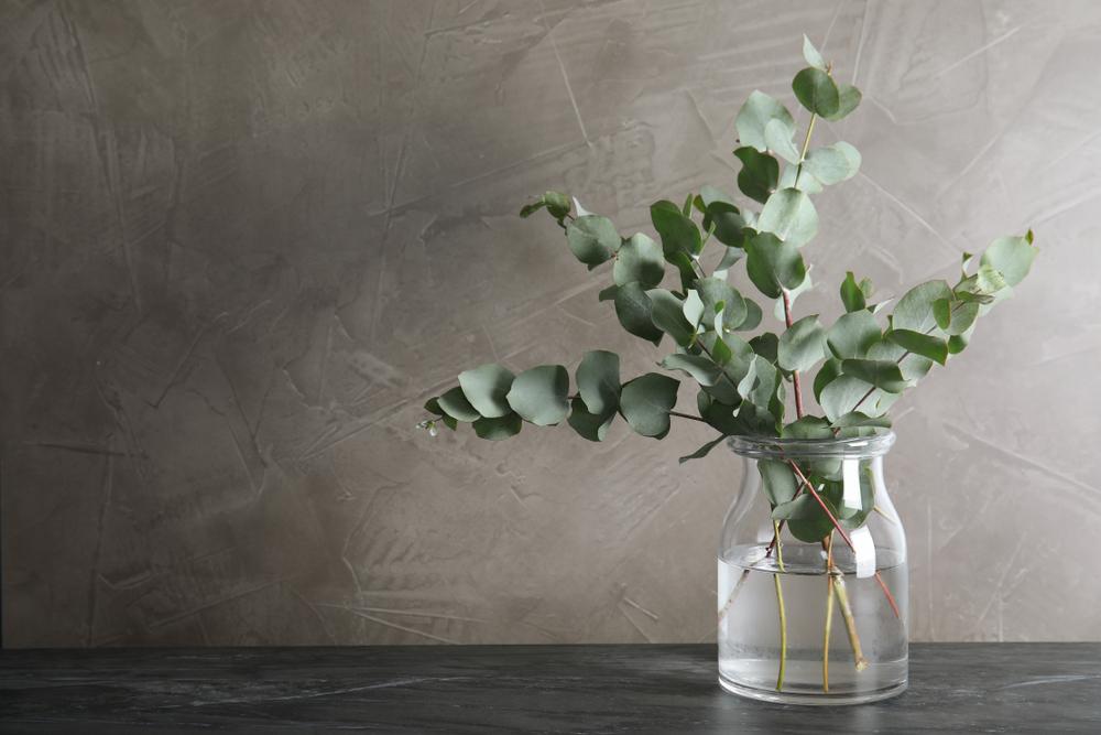 Eucalyptus compliments nearly any flower it is in an arrangement with, and also looks elegant and sophisticated on its own. (New Africa/Shutterstock)